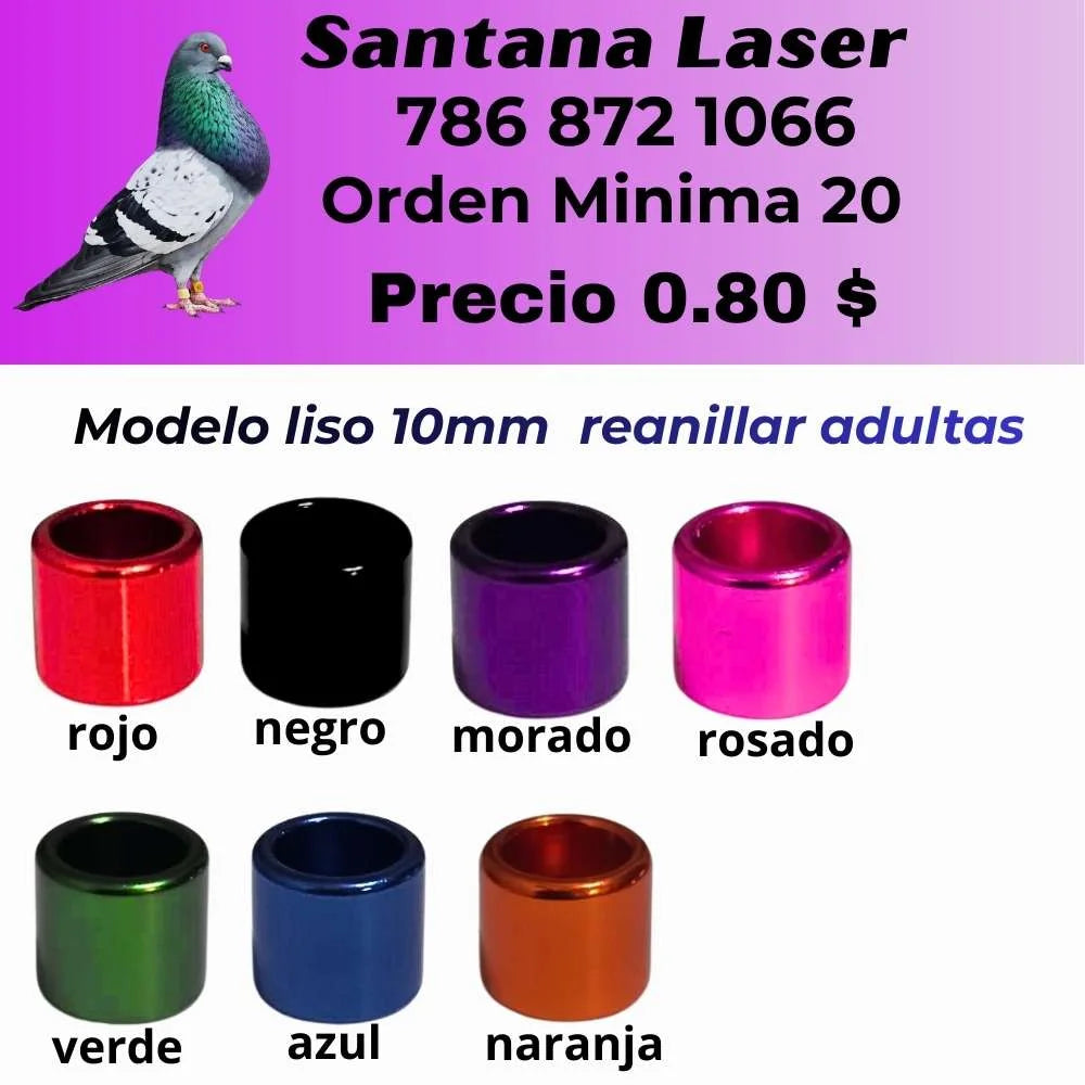 Anillos Personalizados para Palomos de Robo – Modelos y Colores a Elección