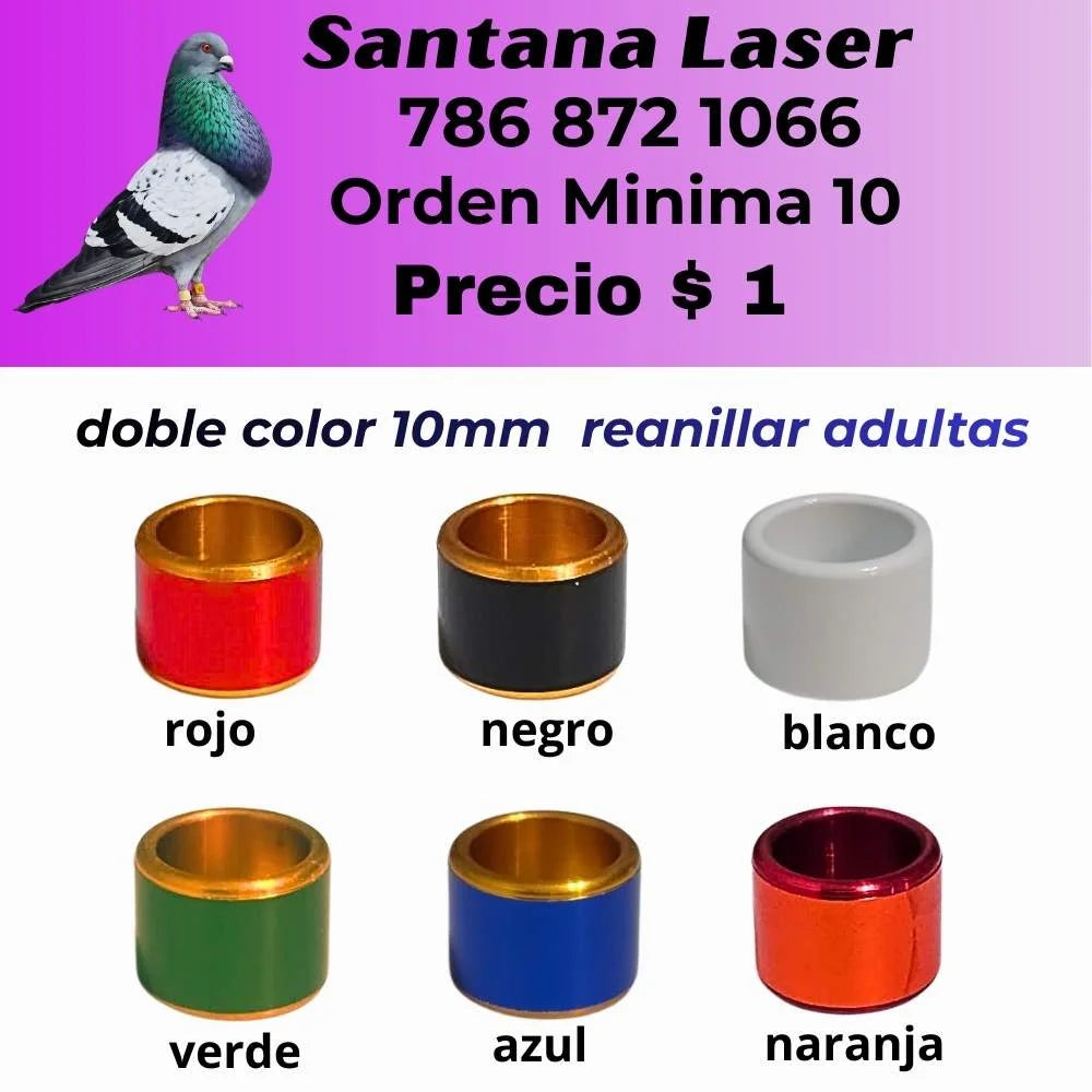 Anillos Personalizados para Palomos de Robo – Modelos y Colores a Elección