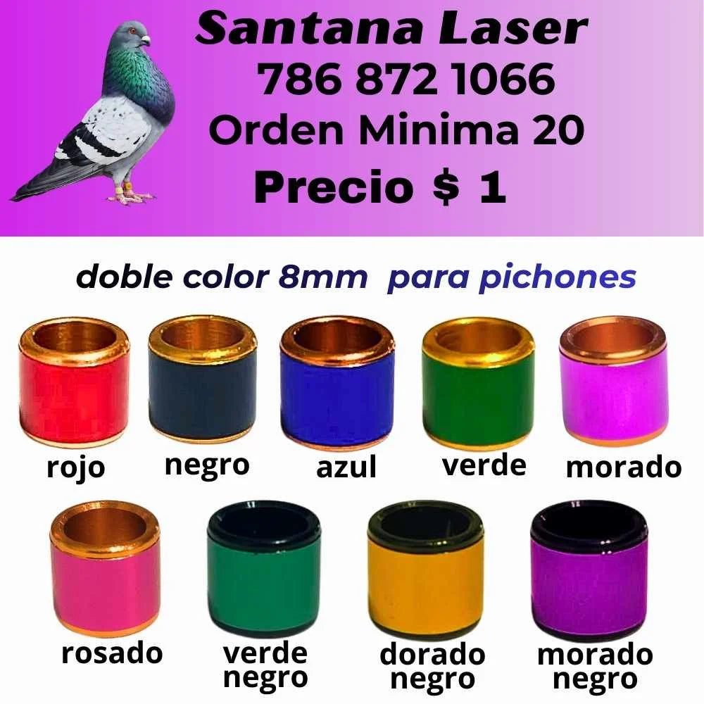 Anillos Personalizados para Palomos de Robo – Modelos y Colores a Elección