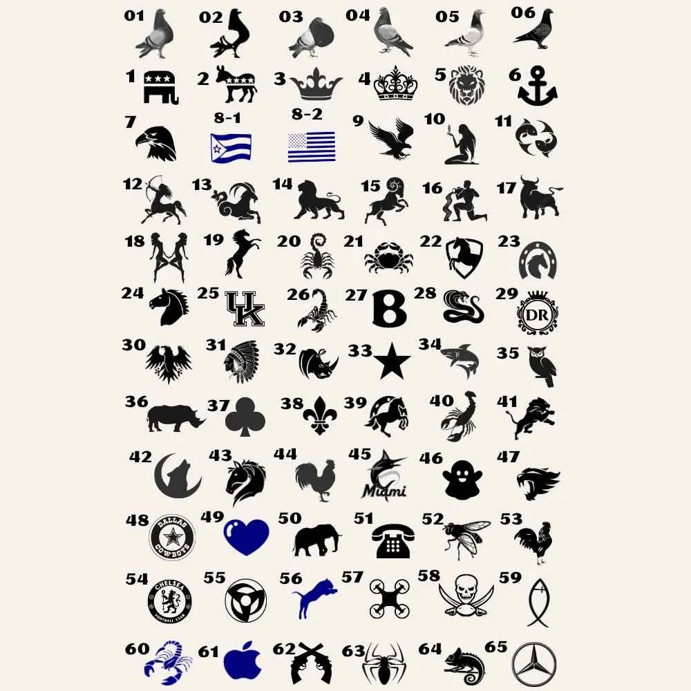 Anillos Personalizados para Palomos de Robo – Modelos y Colores a Elección