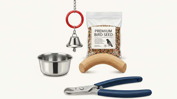 Accesorios para Aves