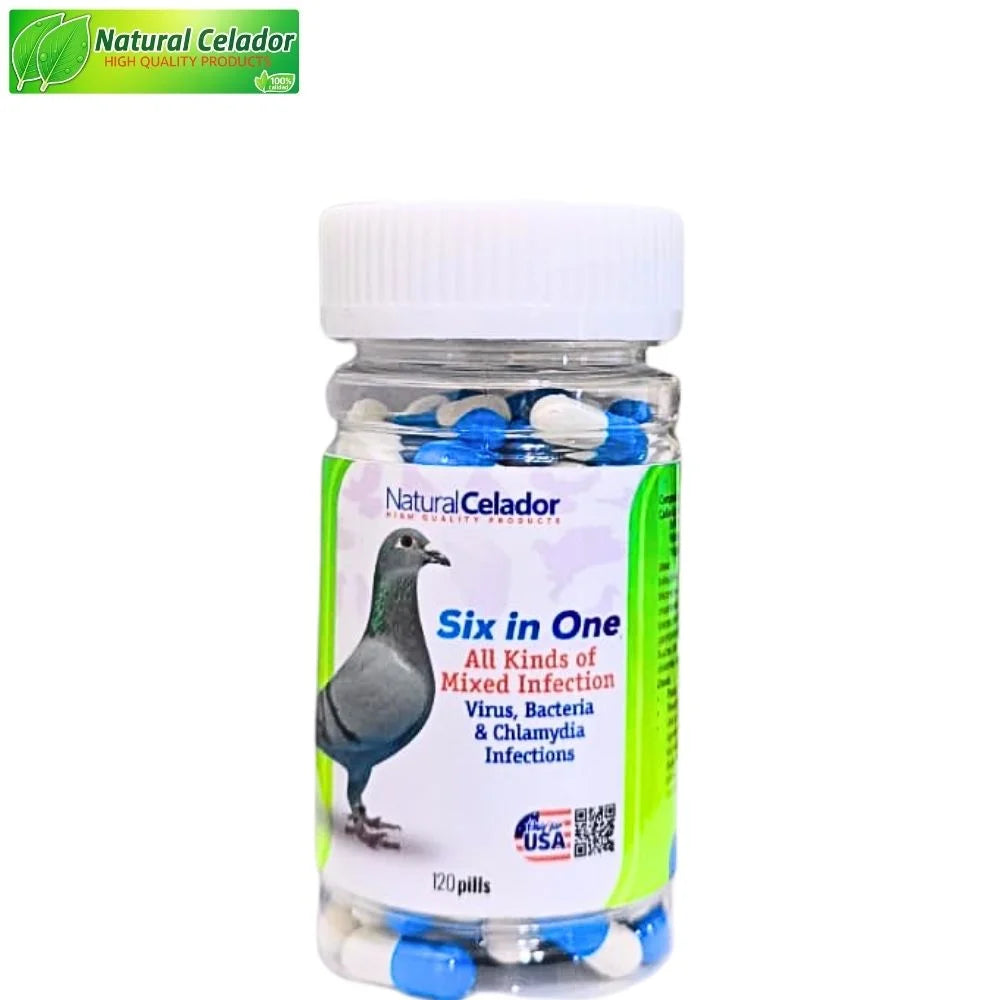 Natural Celador Sin In One 120 Pills | Apoyo Natural contra Infecciones Digestivas en Palomas