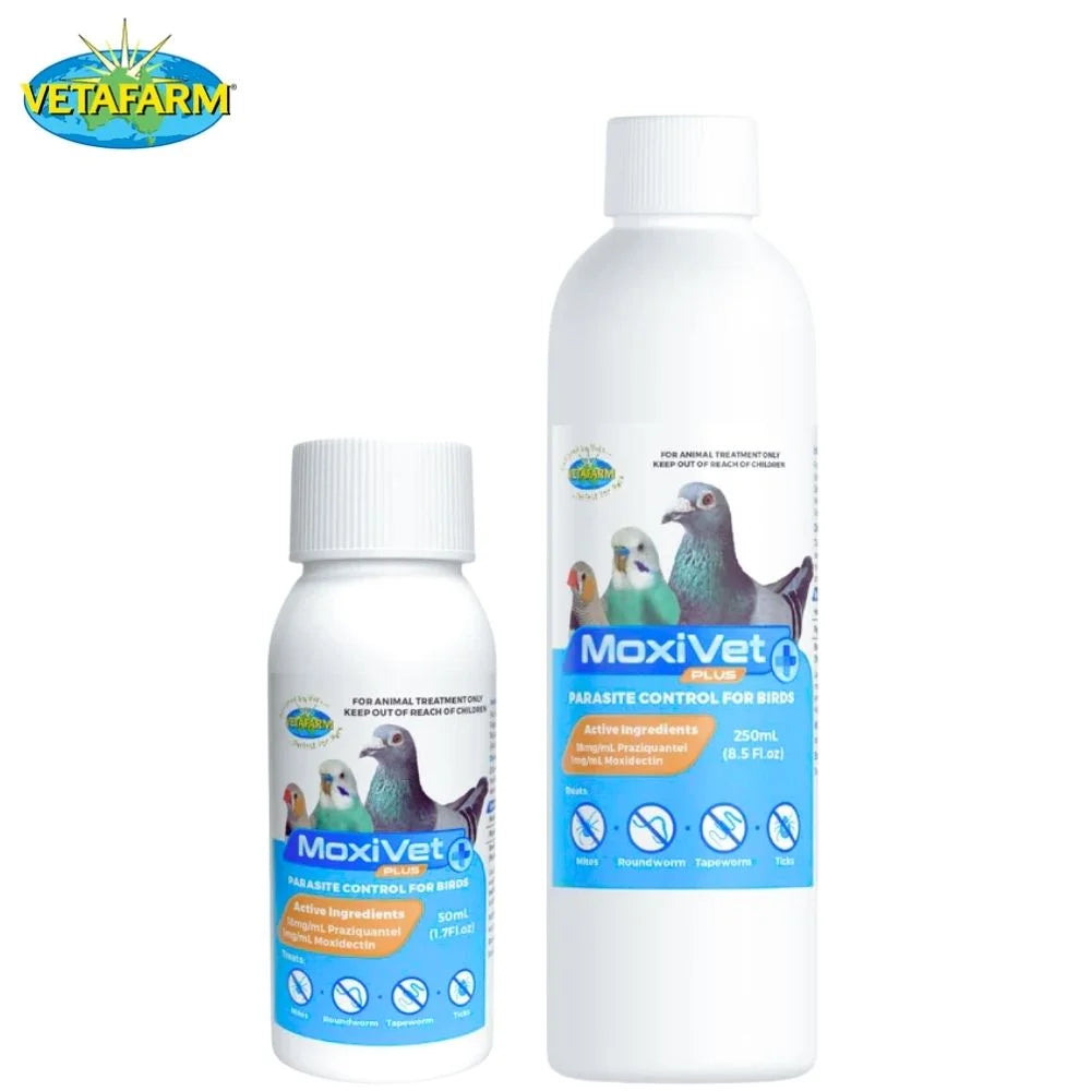 MoxiVet Plus Desparasitante Completo para Palomas y Aves con Moxidectina y Praziquantel
