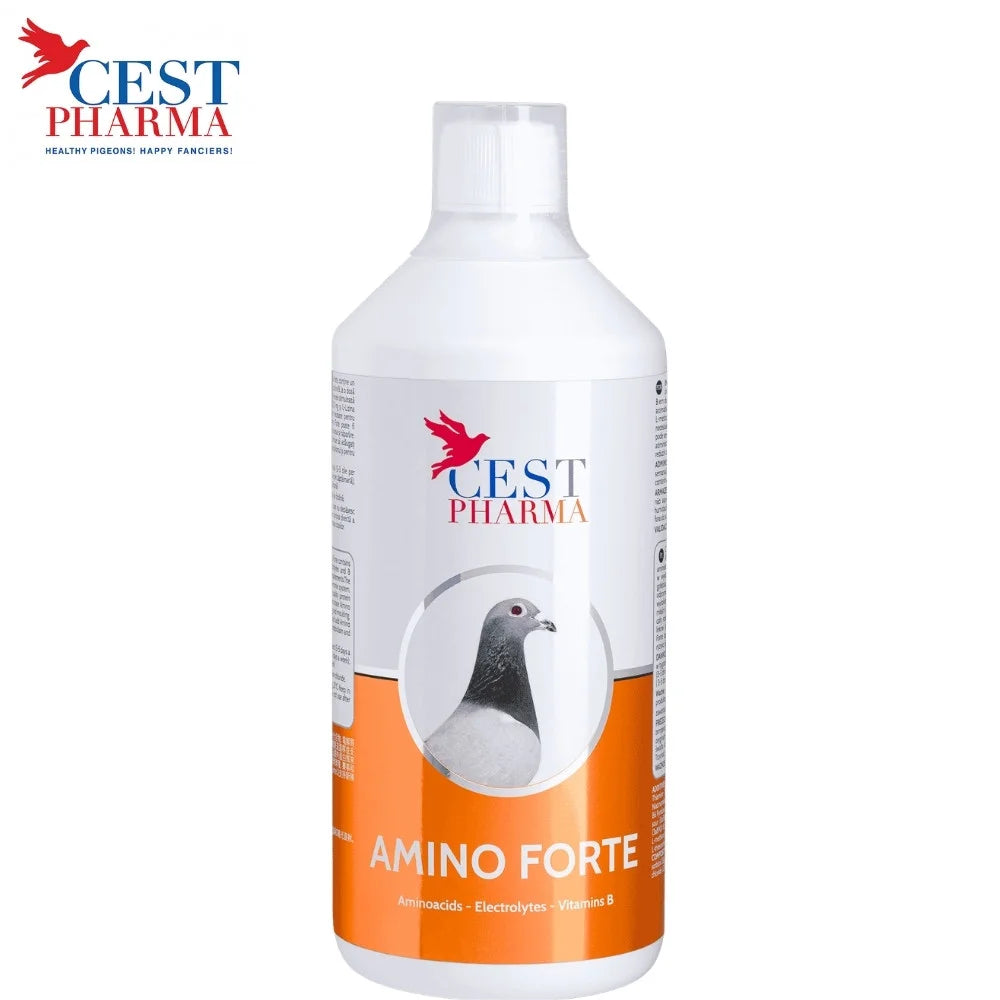 Cest Pharma Amino Forte 1000 ml | Aminoácidos y Vitaminas para Palomas Mensajeras