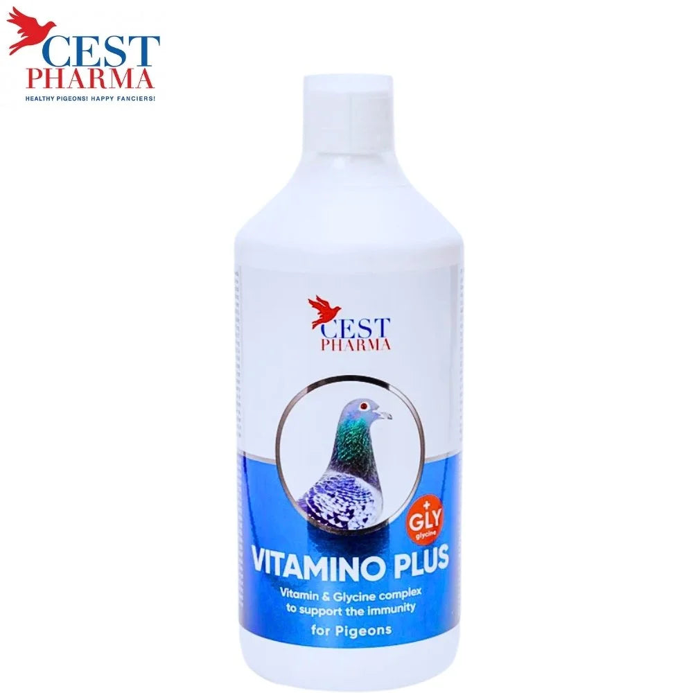 Cest Vitamino Plus 1 L Vitaminas y Aminoácidos para Palomas Mensajeras