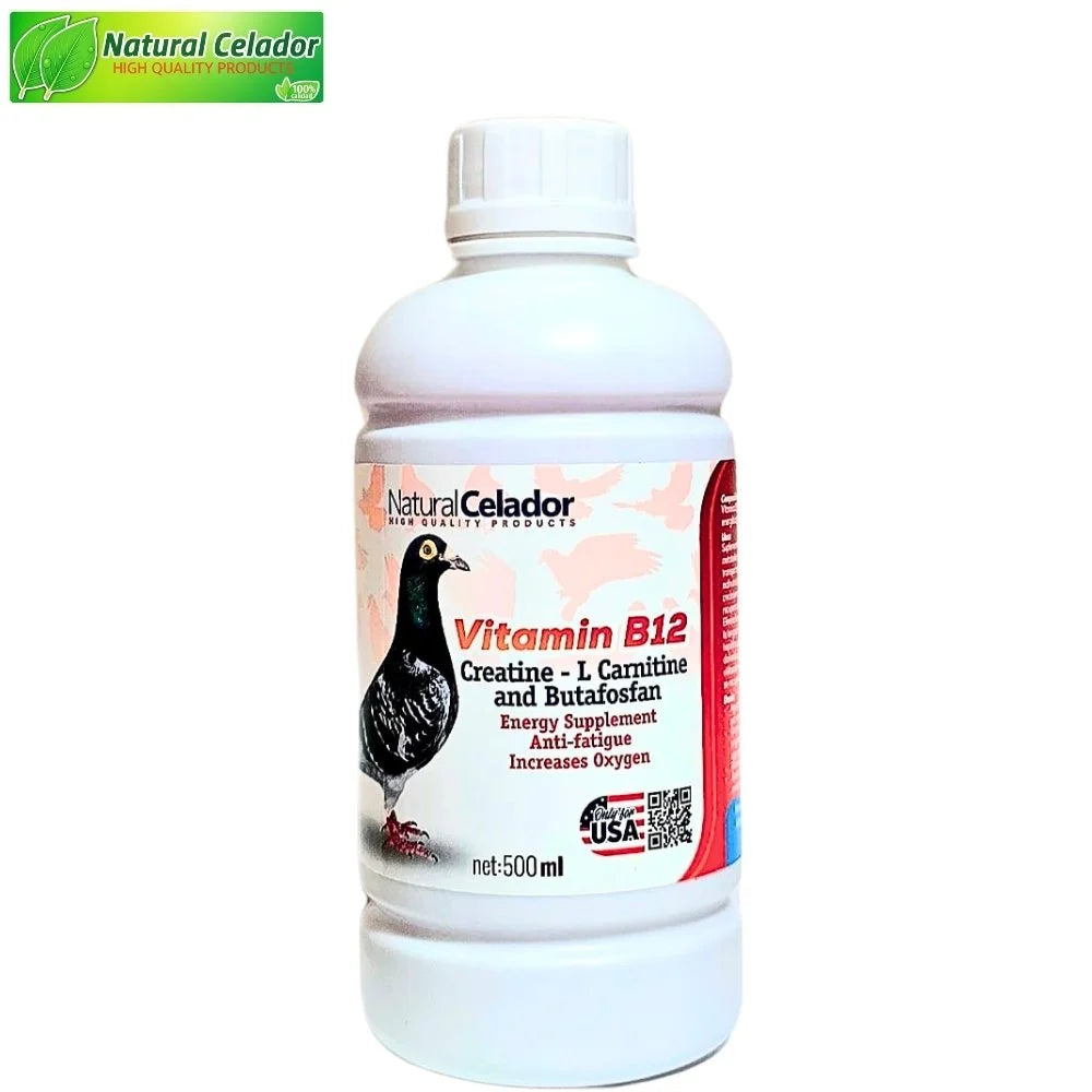 l carnitina con creatina Monohidratada Pre Entreno + + Electrolitos + BCAAs | Formula de Alta Pureza sin Azcar, Vegan, Keto Creatina + L-carnitina 100 Cpsulas