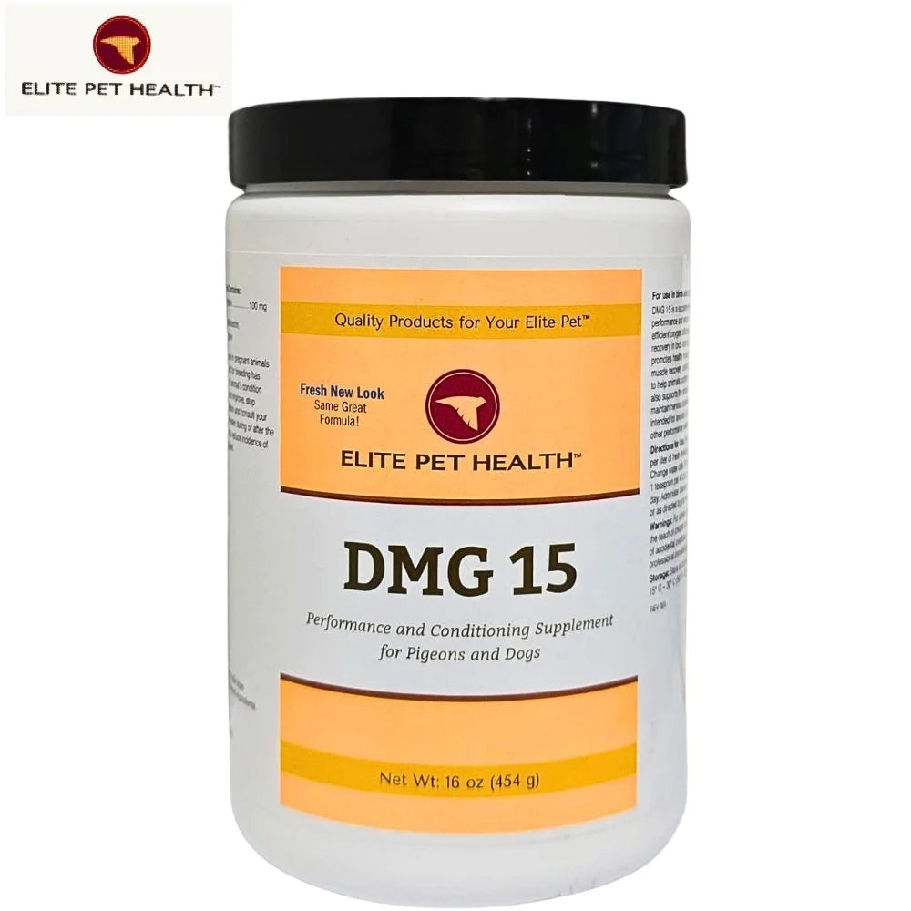 DMG 15 Elite Pet 16 oz | Suplemento con Dimetilglicina para Rendimiento y Resistencia en Palomas