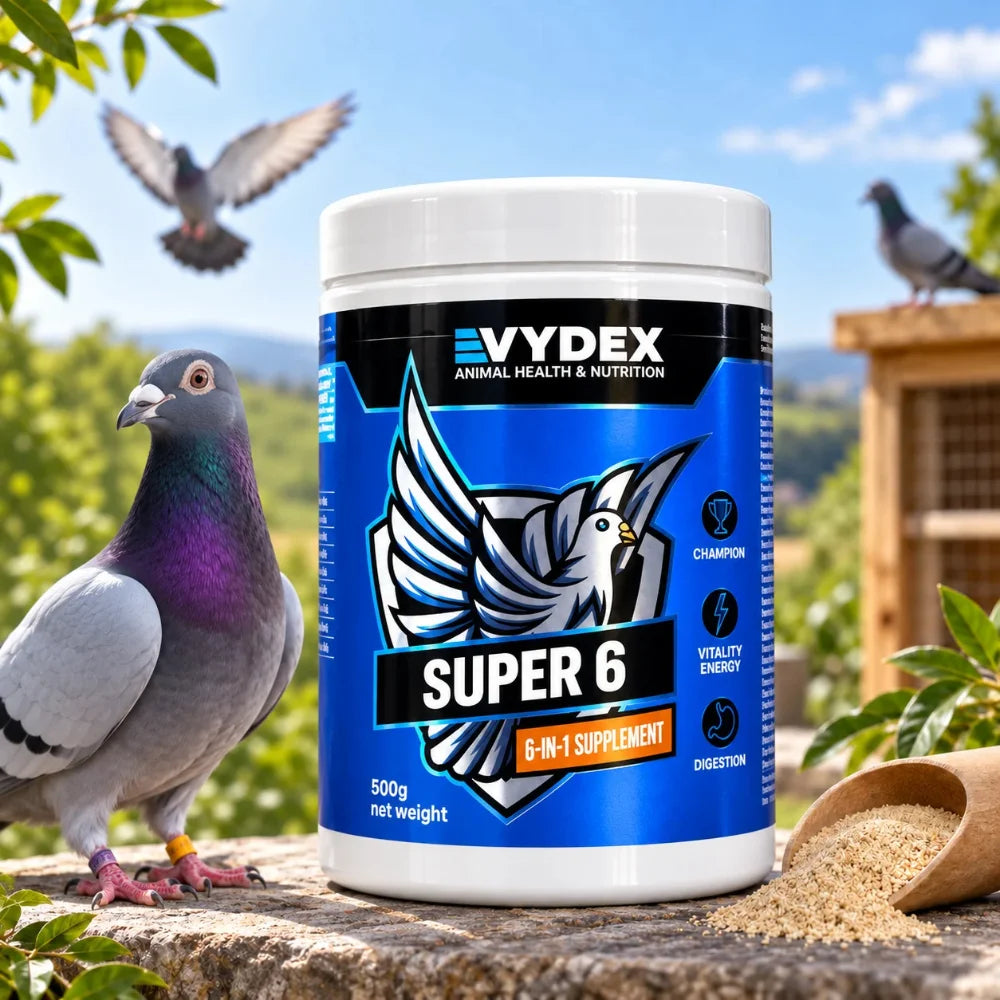 Vydex Super 6 500 g | Vitaminas, Probióticos, Electrolitos y Energía para Palomas