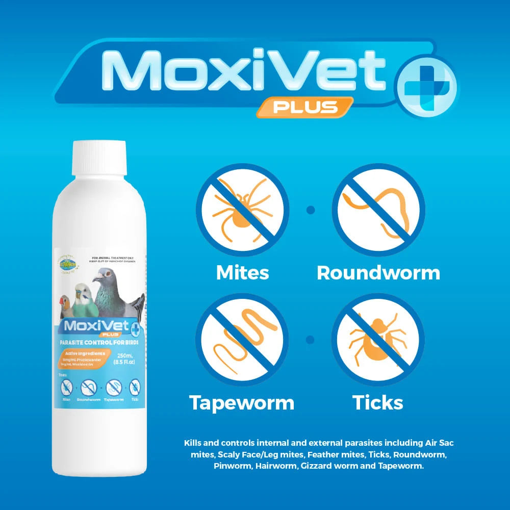 MoxiVet Plus para Palomas y Aves 50 ml / 250 ml