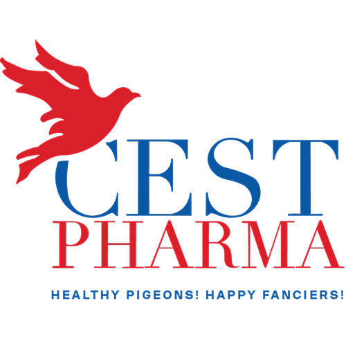 Cest Pharma – Suplementos Premium de Bélgica