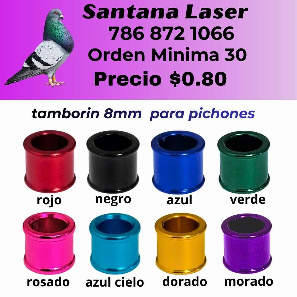 Anillos Personalizados para Palomos de Robo – Modelos y Colores a Elección