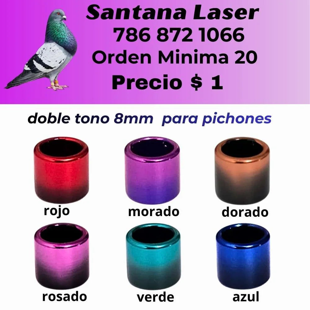 Anillos Personalizados para Palomos de Robo – Modelos y Colores a Elección