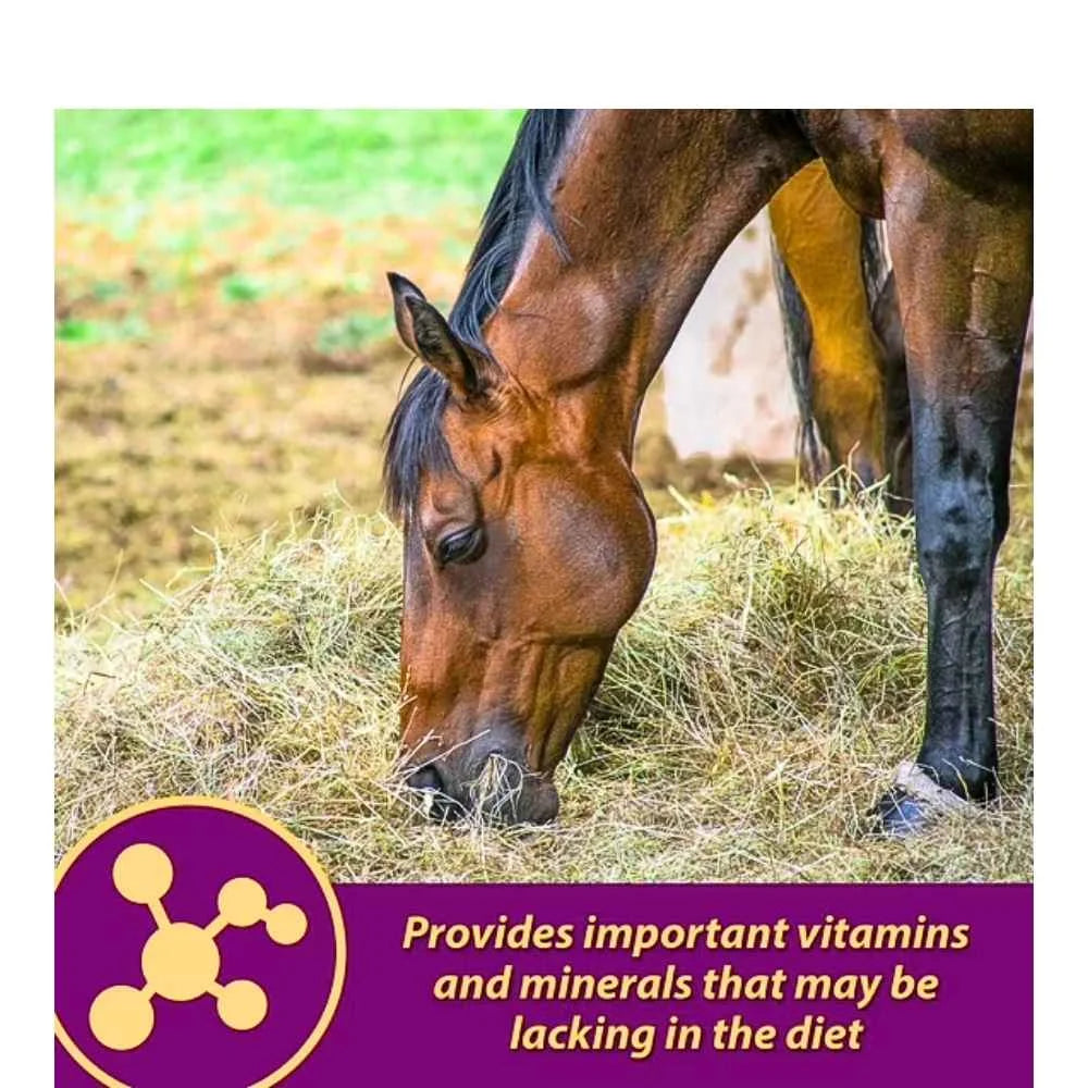 Horse Health Red Cell 32 oz | Suplemento Vitamínico con Hierro y Minerales para Caballos