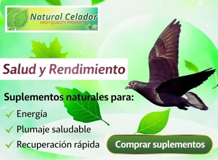 Energizantes para Aves