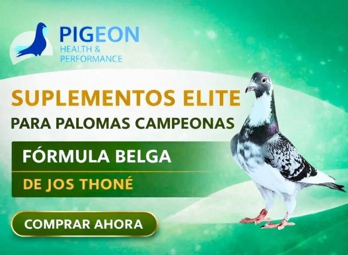 Energizantes para Aves